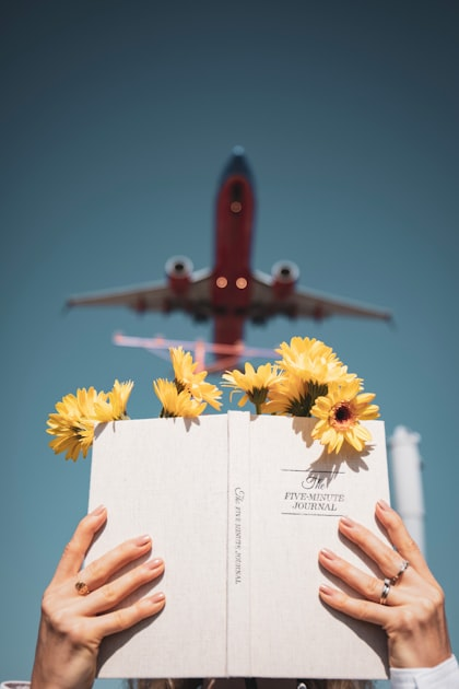 Creating a Magnetic Space for Growth